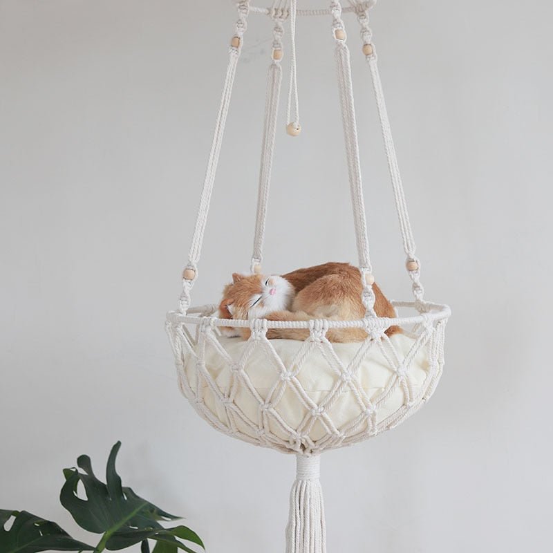 cat sleeping in a hanging cat bed with round shape that looks comfortable