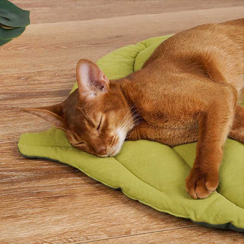 calming bed made for cat with a huge leaf designs