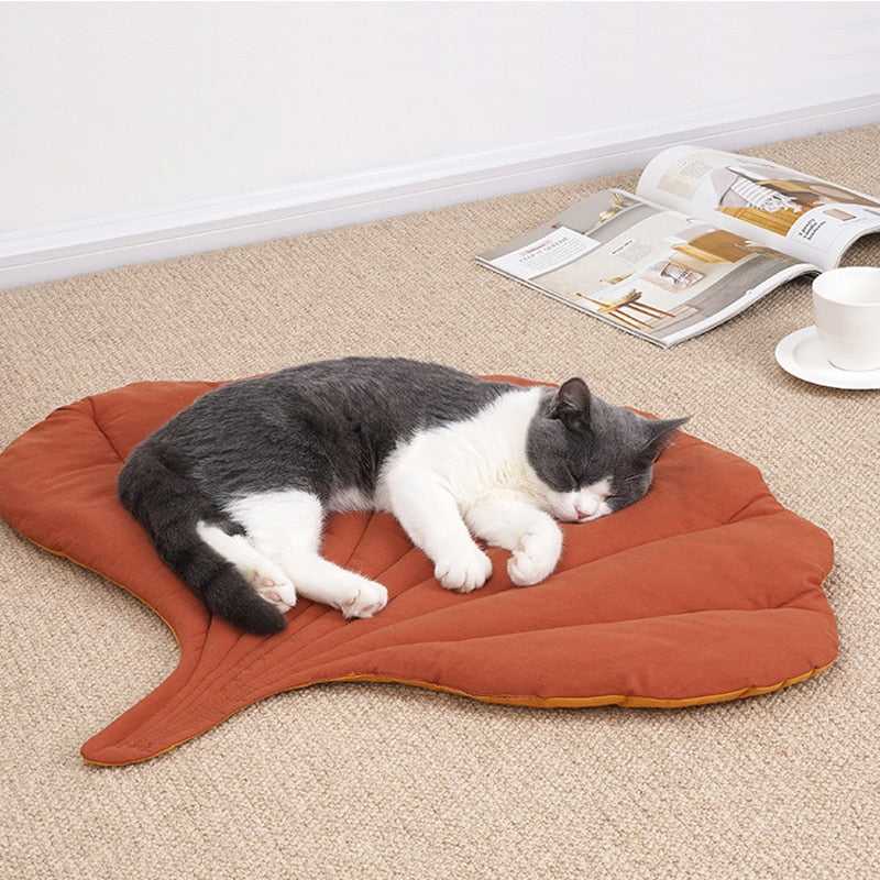 minimalist design cat bed in leaf style in orange color