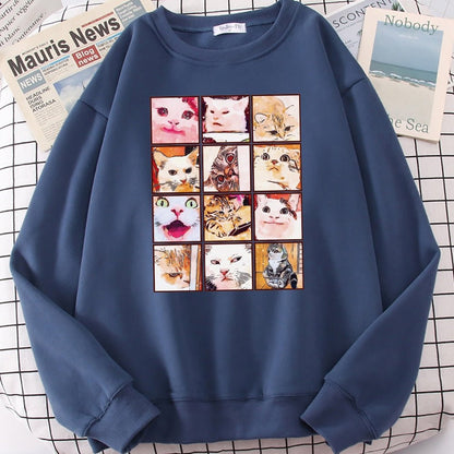 'Cat memes' funny cat sweatshirts