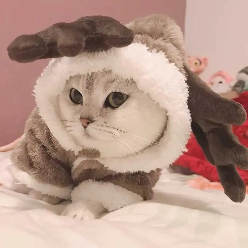 a cute sweater for cat in reindeer design