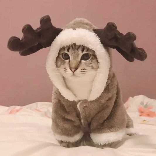 Cat Reindeer Jumpsuit For Winter by Meowgicians