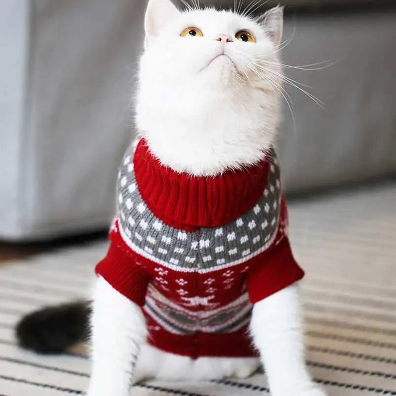 a christmas sweaters for cats