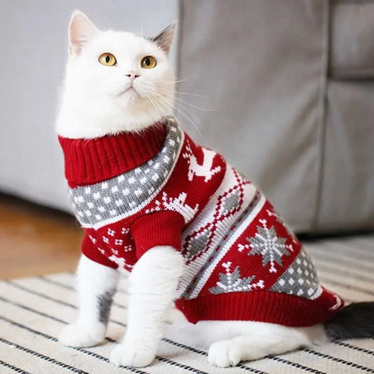 a cat knitted sweater for winter season