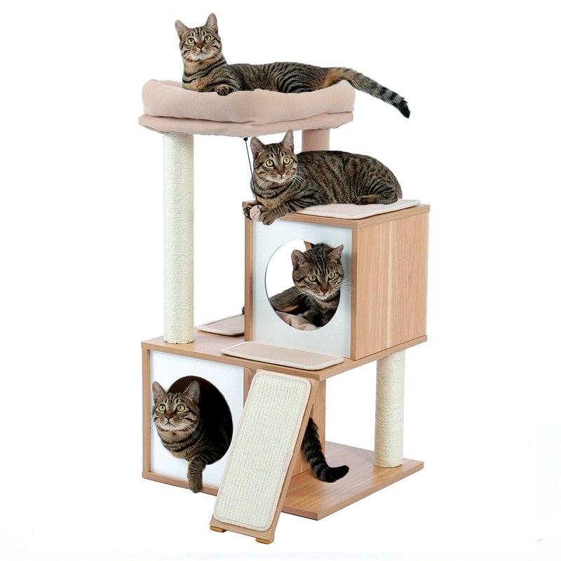 cats hanging out at a japanese cat tree