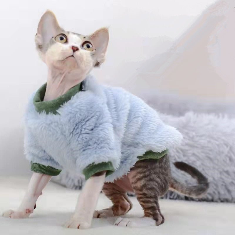 Dress Your Kitten in Colorful Plush Kitten Clothes | Winter Collection Meowgicians Dress Your Kitten in Colorful Plush Kitten Clothes | Winter Collection Meowgicians