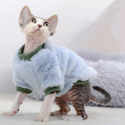 a cat is wearing a blue cat's cloth for winter