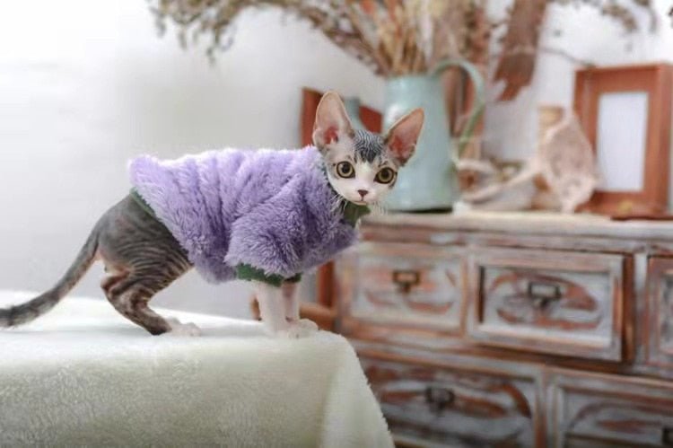 a kitty is wearing a purple color clothing for kittens