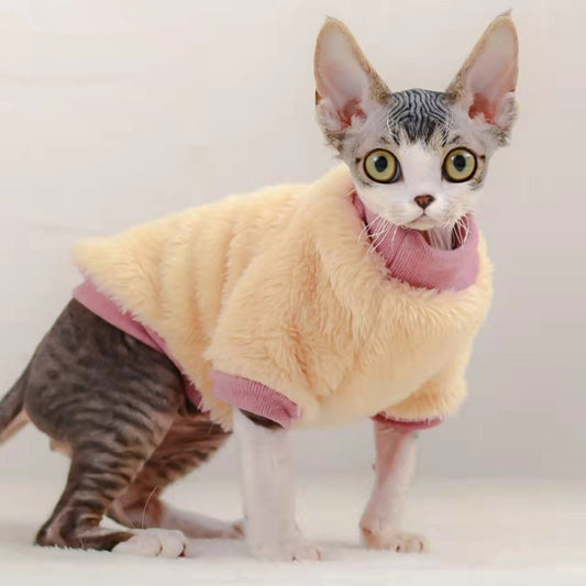 a kitten is wearing a kitten clothes for winter