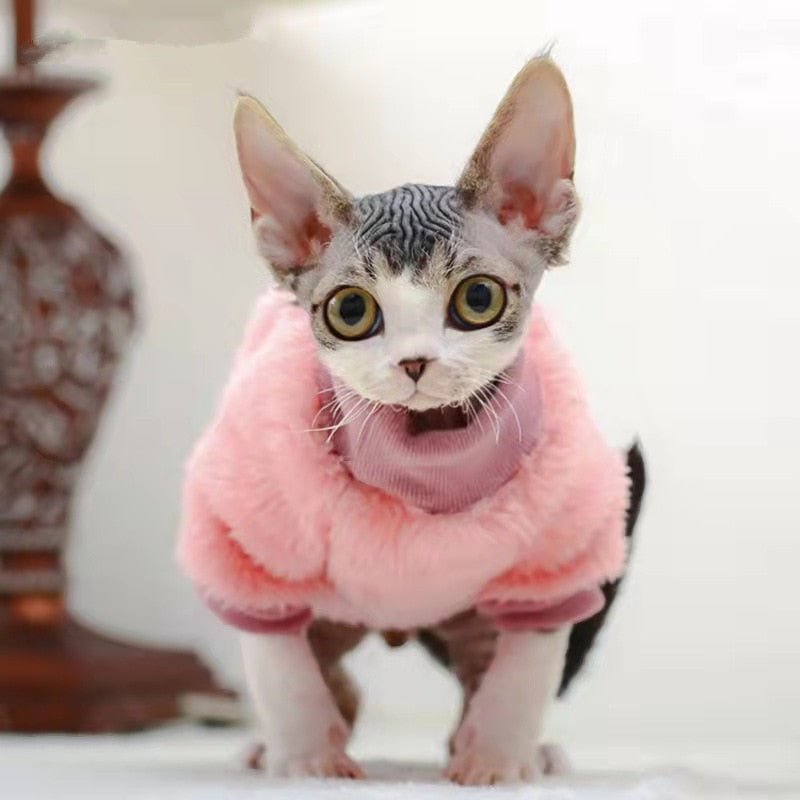 a cute cat is wearing a pink cat clothes for cats