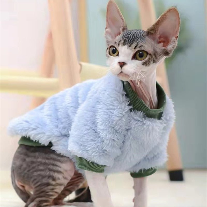 Colorful plush winter kitten clothes 