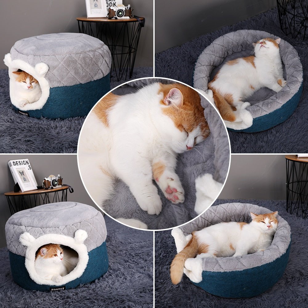 Coolest cat beds best sale