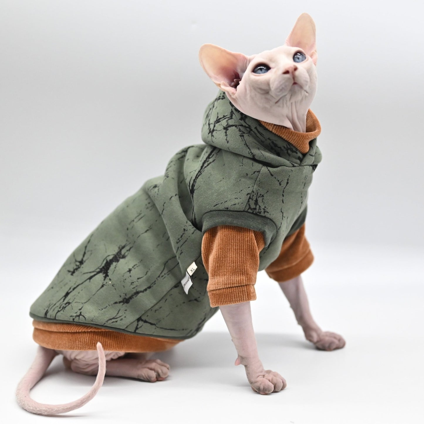 a designer cat clothes fo sphynx cats