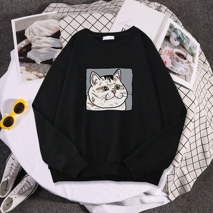 'Dazed cat' funny meme cat sweatshirt