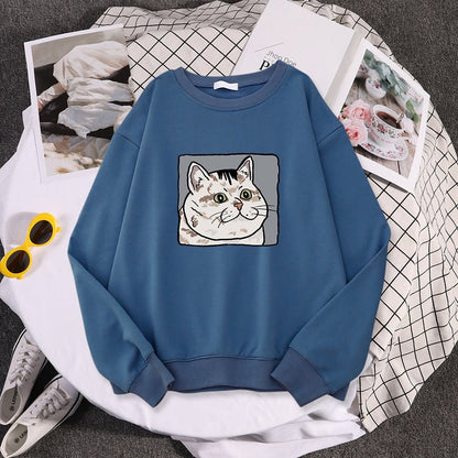 'Dazed cat' funny meme cat sweatshirt