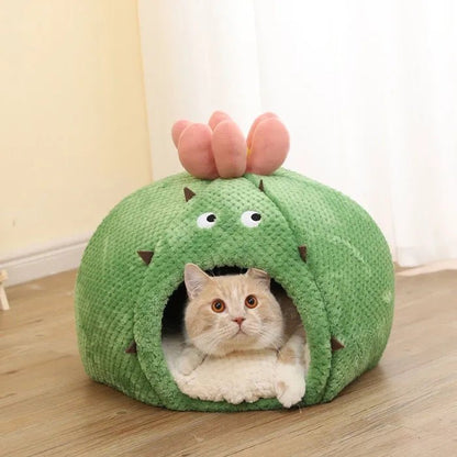 igloo style cat bed that gives a calm effect to cats in cactus design