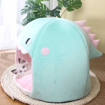cute cat house with funny dinosaur design in turquoise color