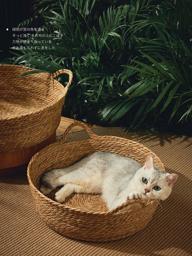 Japanese design premium woven cat bed with printed cushion