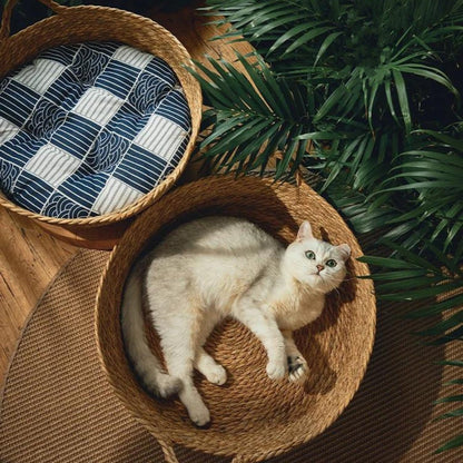Japanese design premium woven cat bed with printed cushion