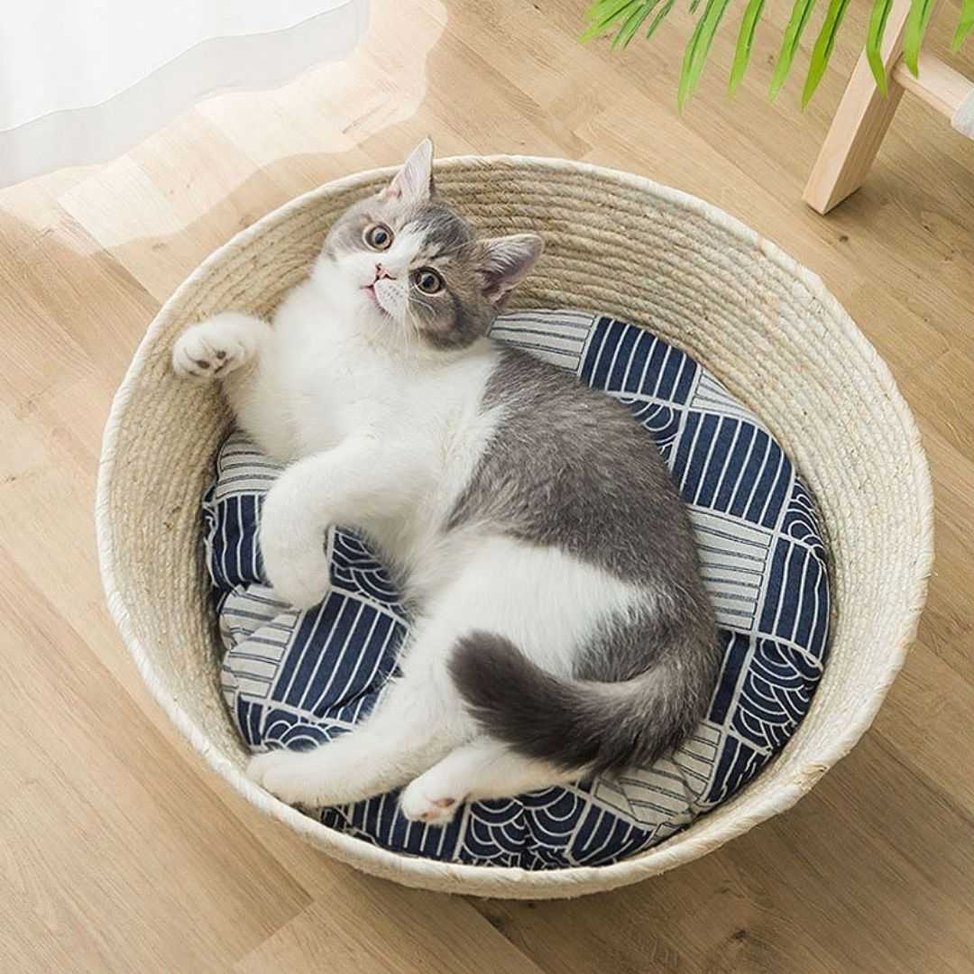 Japanese design handmade cat basket with cushion | Meowgicians