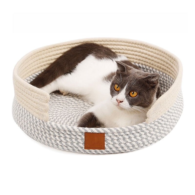 cat sleeping in a white color minimalist style cat bed that looks modern