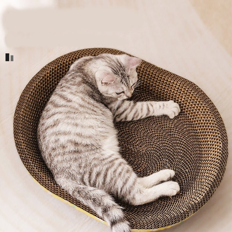 cat on a scratching board that functions as a bed