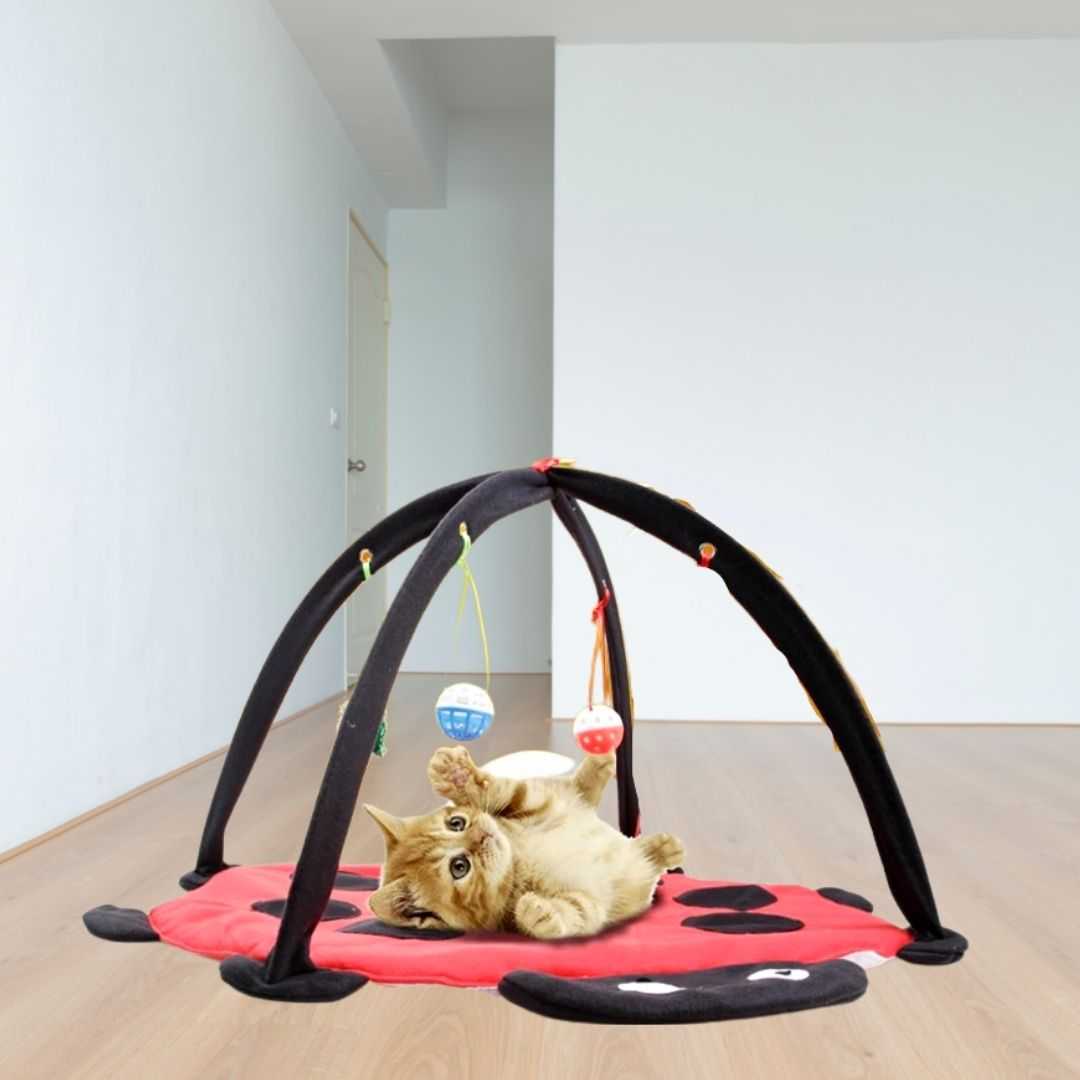 lady bug tent Ladybug Cat Tent With Toys – Meowgicians™