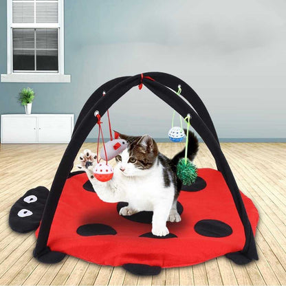 Ladybug Cat Tent With Toys