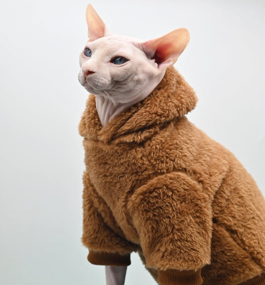 a stylish cat hoodie for cats for winter season
