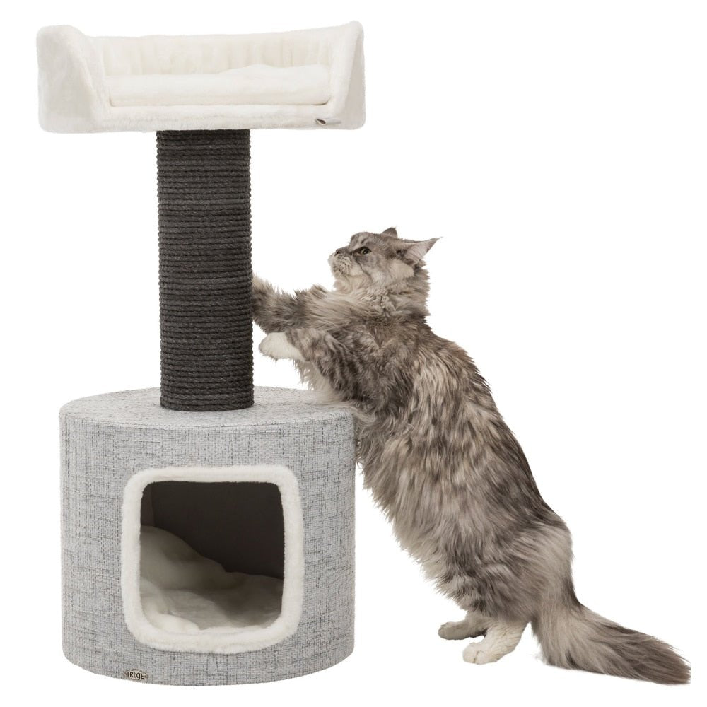 a cat is scratching a grey and white cat tree with scratcher