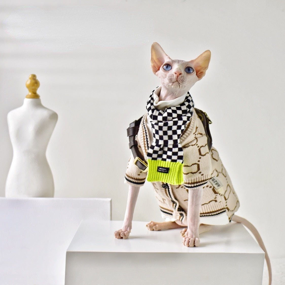 a stylish designer cat clothes for winter