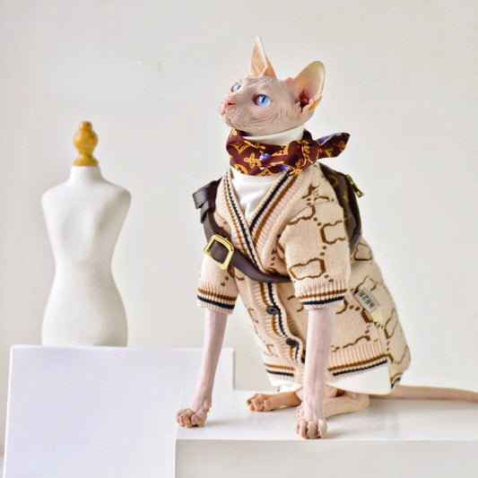 a cat wearing a fashionable clothing for sphynx cat