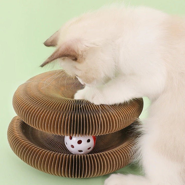 best cat scratcher comes with two balls and changing style