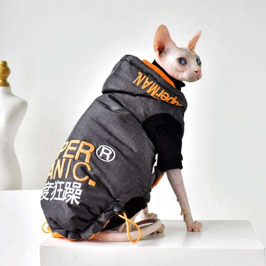 a cat wearing a clothing for sphynx cats