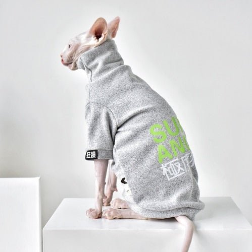 a grey cat clothes for cats