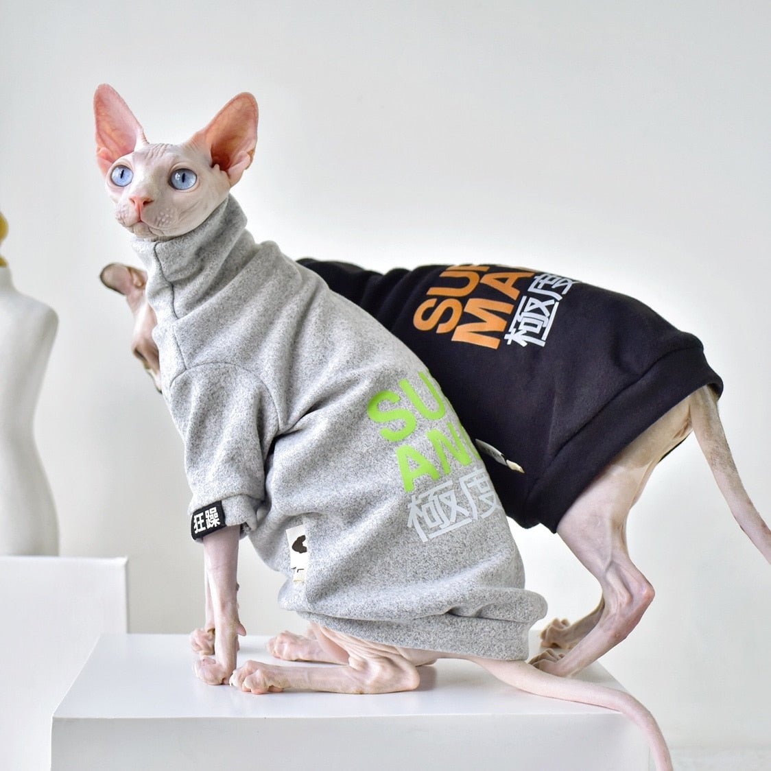 Stay Fashionable with 'Manic' Harajuku Streetwear | Hoodies