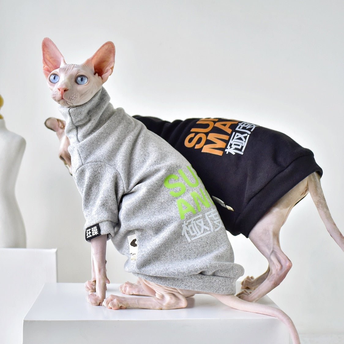 a designer cat clothes for trendy cats