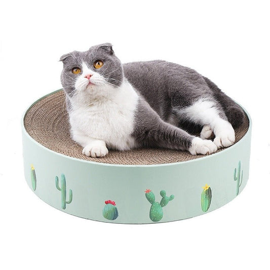 Mini Cactus' round cat scratch board and bed