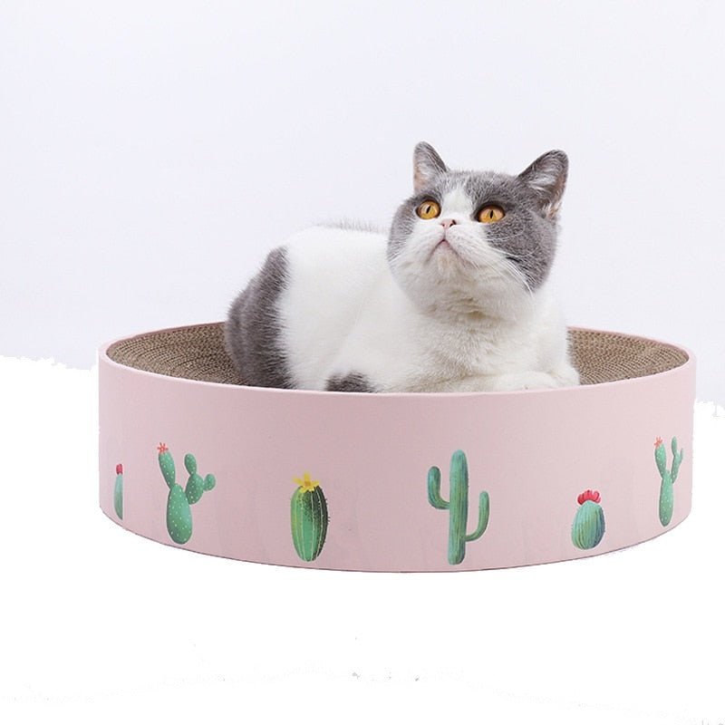 Mini Cactus' round cat scratch board and bed