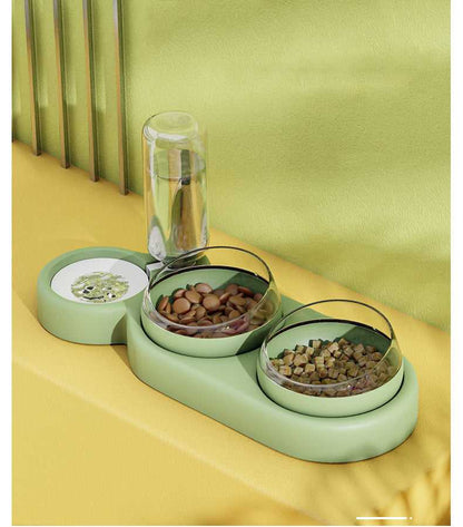 colorful cats sharing food bowl with water dispenser