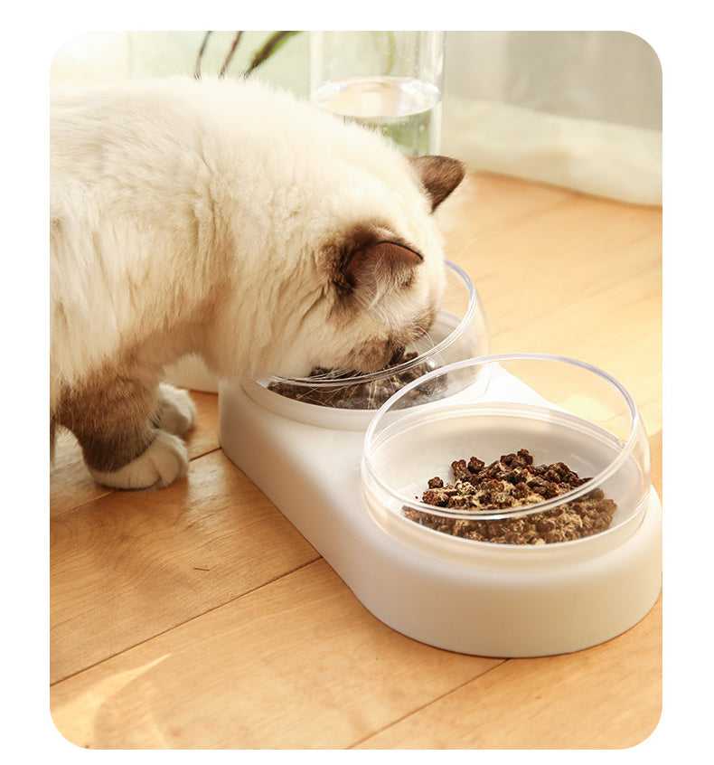 Minimalist Twin Bowl Cat Feeder