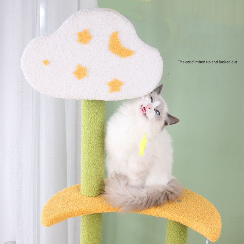 a cat playing at the cloud from the modern cat tree tower