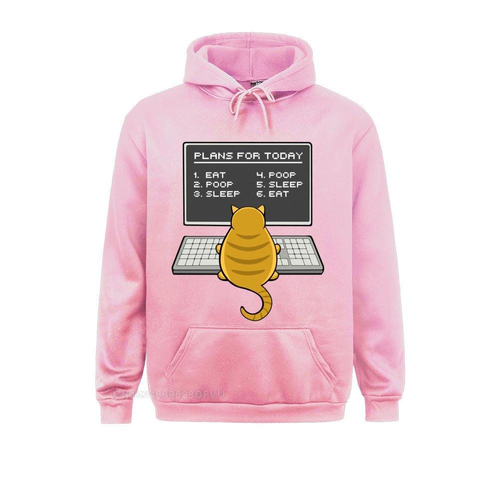 'No plan for today' cat dad pullover hoodie