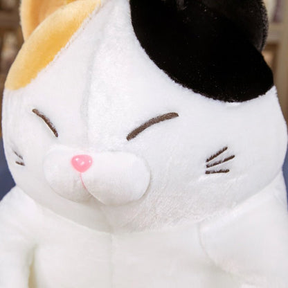 a close up of a plush calico cat for cuddle