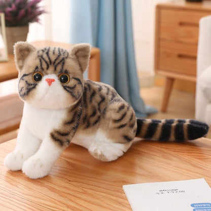 a cute plushie cat that looks real
