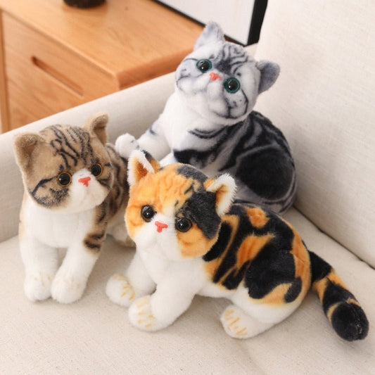 a set of real looking stuffed cats plush from different breeds