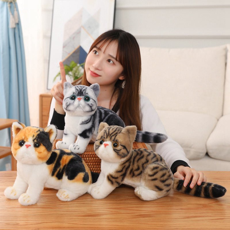 a lady posing with stuffed cats that look real from different breeds