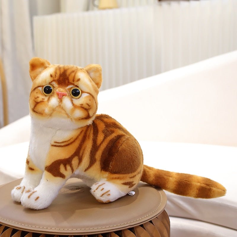 a cute cat plushies that looks real