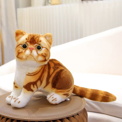a cute cat plushies that looks real