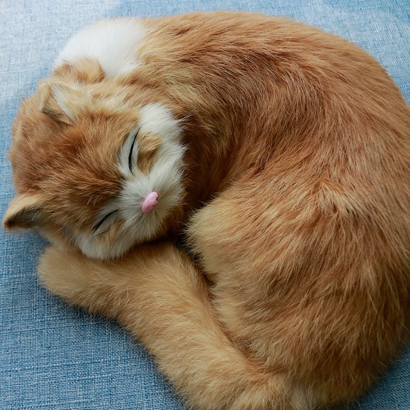 a close up of a realistic cat stuffed animals of a sleeping cat